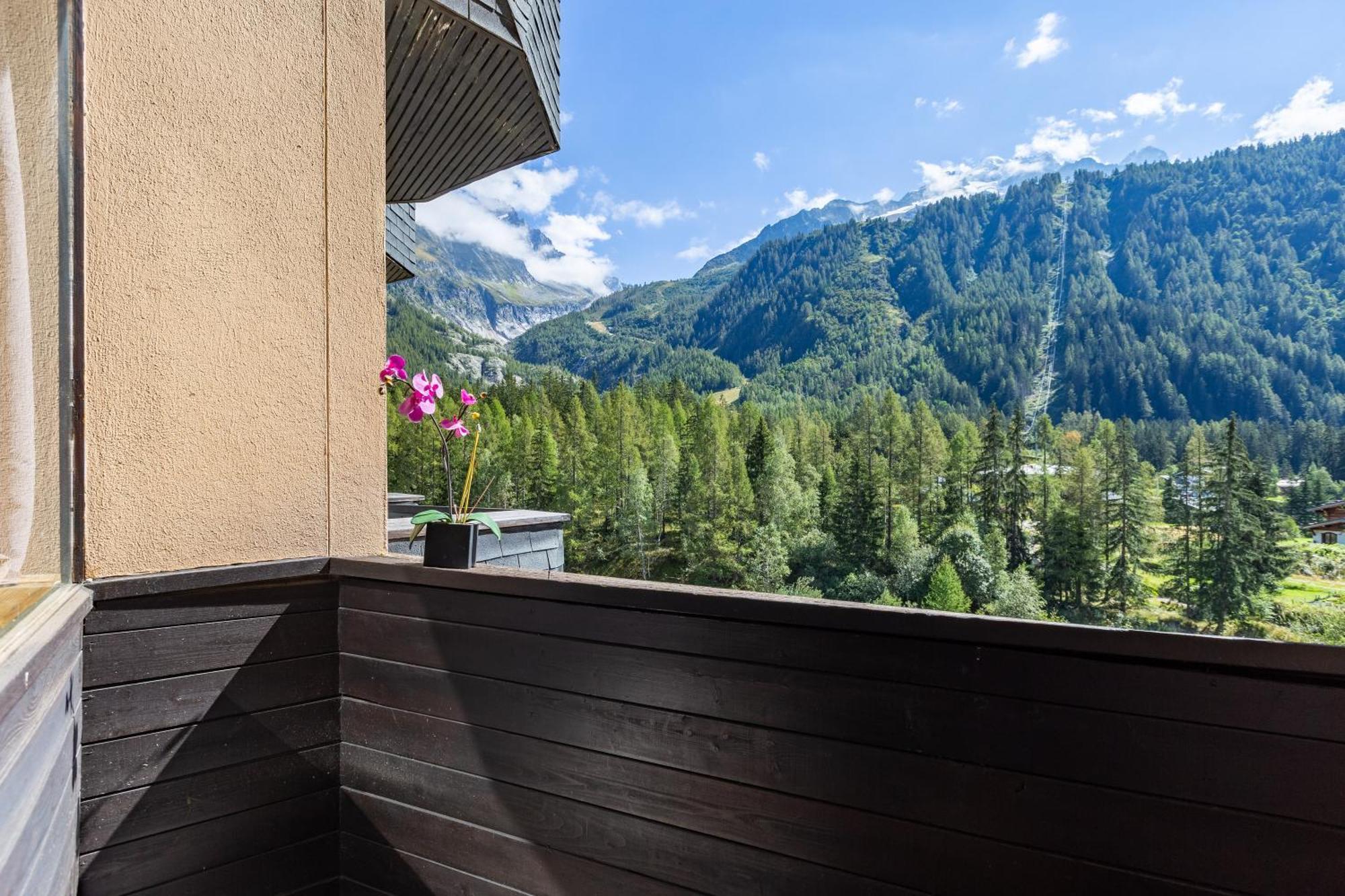 Residence Grand Roc - Campanules 314 Happy Rentals Chamonix Ngoại thất bức ảnh